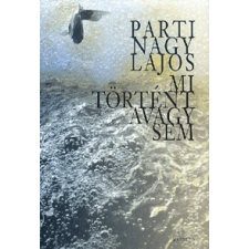 Magvető Kiadó Mi történt avagy sem regény