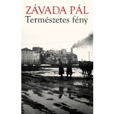 Magvető Kiadó Természetes fény regény