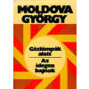 Magvető Könyvkiadó Gázlámpák alatt-Az idegen bajnok