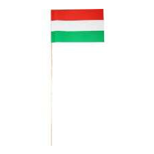 Magyar zászló hurkapálcán party kellék