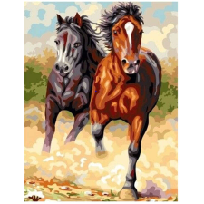 Makana Száguldó lovak - Számfestő készlet, kerettel (40x50 cm) kreatív és készségfejlesztő