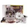 MALOSSI Henger Malossi Team 50cc Minarelli AM6 Malossi Motor alkatrészek Hengerfej, hengerszett Hengerszett