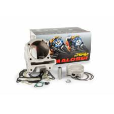 MALOSSI Racing henger Malossi 282cc alumínium Vespa GTS / GTV 300cc egyéb motorkerékpár alkatrész
