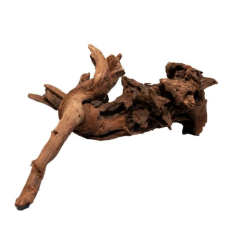 MANGROVE AGED WOOD SMALL | Mangrove érett fa dekoráció akvárium dekoráció