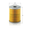 MANN FILTER Üzemanyagszűrő 565P810X - Hyster