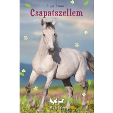 Manó Könyvek Kiadó Tilly és Táltos - Csapatszellem regény