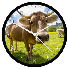  Marha falióra falióra