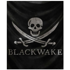 Mastfire Studios Pty Ltd Blackwake (PC - Steam Digitális termékkulcs) videójáték