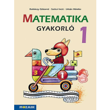 Matematika gyakorló 1. osztály (MS-1663U) tankönyv