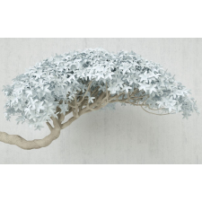  Matrica tapéta Absztrakt szürke fa, 350 x 250 cm tapéta, díszléc és más dekoráció