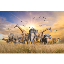  Matrica tapéta Állatok az afrikai szavannáról, 250 x 200 cm tapéta, díszléc és más dekoráció