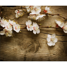  Matrica tapéta Cherry blossoms2, 350 x 250 cm tapéta, díszléc és más dekoráció