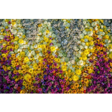  Matrica tapéta Flowers65, 200 x 150 cm tapéta, díszléc és más dekoráció