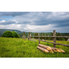  Matrica tapéta Natura156 Meadows and forest, 250 x 200 cm tapéta, díszléc és más dekoráció
