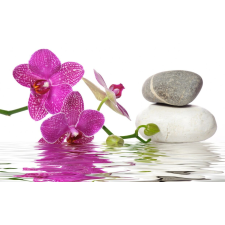  Matrica tapéta Orchideák, kövek és víz, 200 x 150 cm tapéta, díszléc és más dekoráció