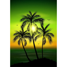  Matrica tapéta Pálmafák2, 200 x 150 cm tapéta, díszléc és más dekoráció