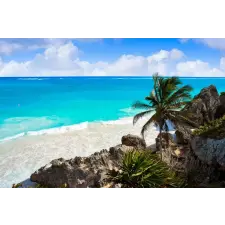  Matrica tapéta Palmieri38, 250 x 200 cm tapéta, díszléc és más dekoráció