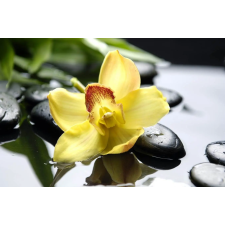  Matrica tapéta Sárga orchidea, 250 x 200 cm tapéta, díszléc és más dekoráció