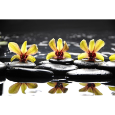  Matrica tapéta Sárga orchideák kövekkel, 250 x 150 cm tapéta, díszléc és más dekoráció