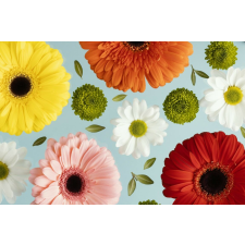  Matrica tapéta Virágok171 Gerberák és százszorszépek2, 250 x 200 cm tapéta, díszléc és más dekoráció