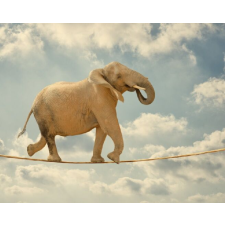  Matricás falfestmény Elefánt akrobata, 250 x 150 cm tapéta, díszléc és más dekoráció