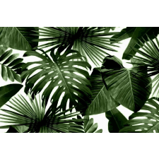  Matricás tapéta Absztrakt levelek, 300 x 200 cm tapéta, díszléc és más dekoráció