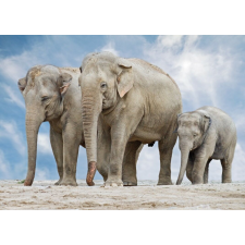 Matricás tapéta Elefántcsalád, 300 x 250 cm tapéta, díszléc és más dekoráció