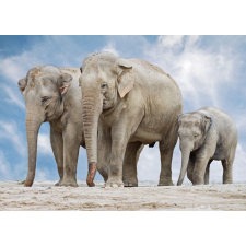  Matricás tapéta Elefántcsalád, 400 x 250 cm tapéta, díszléc és más dekoráció