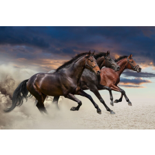  Matricás tapéta Három ló, galopp, 200 x 150 cm tapéta, díszléc és más dekoráció