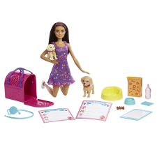 Mattel Barbie: Gondos gazdi barbie baba