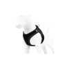 Max & Molly Matrix 2.0 Air Vest hám - Black/M