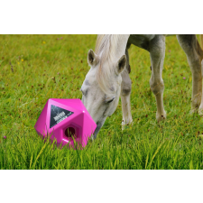 Maximus Feed  Play  rózsaszínű lassú adagoló istálló állattartás etetés itatástechnológia adagoló haszonállat felszerelés