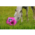 Maximus Feed  Play  rózsaszínű lassú adagoló istálló állattartás etetés itatástechnológia adagoló