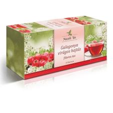 MECSEK GALAGONYA VIR HAJTVEG TEA 25X1,5G gyógytea