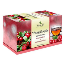 Mecsek Tea Mecsek Tőzegáfonyás gyümölcstea echinaceával és aranyvesszőfűvel 20x2g gyógytea