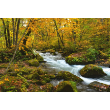  Média Cascada12 vászonfestmény, 105 x 70 cm grafika, keretezett kép