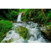  MÉDIA Cascada38 vászonfestmény, 105 x 70 cm