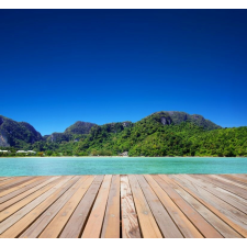  MÉDIA fali tapéta, öntapadó és mosható, természet 130, 135 x 225 cm tapéta, díszléc és más dekoráció