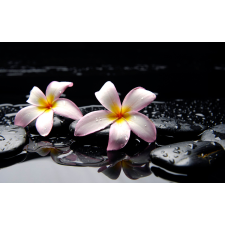  Média fehér orchidea matrica, 220 x 135 cm tapéta, díszléc és más dekoráció