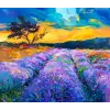  MÉDIA festmény, vászon, levendula mező modell, 105 x 70 cm