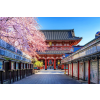  MÉDIA fotótapéta matrica, Virágok- Japán templom virágzó cseresznyével, 220 x 135 cm