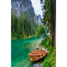  MÉDIA Fotótapéta, Természet 125, 135 x 225 cm tapéta, díszléc és más dekoráció