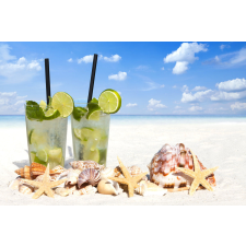 MÉDIA Koktél és tenger gyümölcsei öntapadós tapéta, 270 x 200 cm tapéta, díszléc és más dekoráció