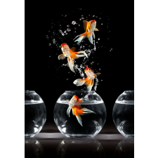  Média Kompozíció 35 Tapéta, 135 x 225 cm tapéta, díszléc és más dekoráció