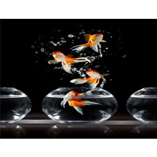  MÉDIA Matrica, 220 x 135 cm, Kompozíció 35 tapéta, díszléc és más dekoráció