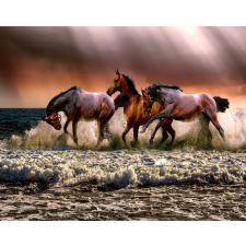  MÉDIA Matrica, 270 x 200 cm, Barna vágtató lovak tapéta, díszléc és más dekoráció