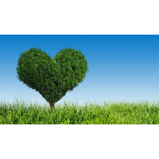  MÉDIA matrica, Életfa, 270 x 200 cm tapéta, díszléc és más dekoráció