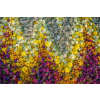  MÉDIA matrica, Virágok, 270 x 200 cm