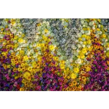  MÉDIA matrica, Virágok, 270 x 200 cm tapéta, díszléc és más dekoráció