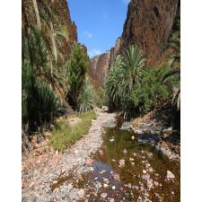  MÉDIA Natura124 öntapadó és mosható fali tapéta, 135 x 225 cm tapéta, díszléc és más dekoráció